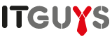 IT Guys
